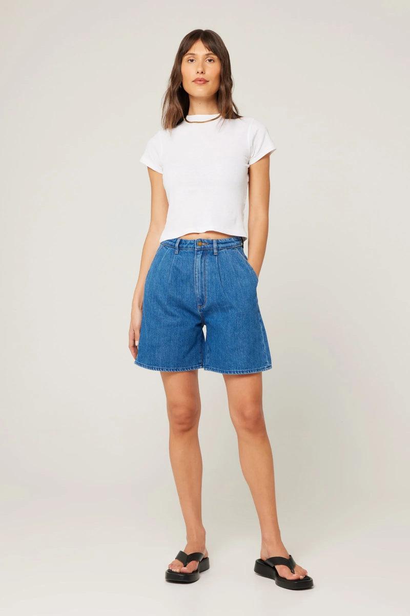 Rolla’s Horizon Shorts - Ashley Blue