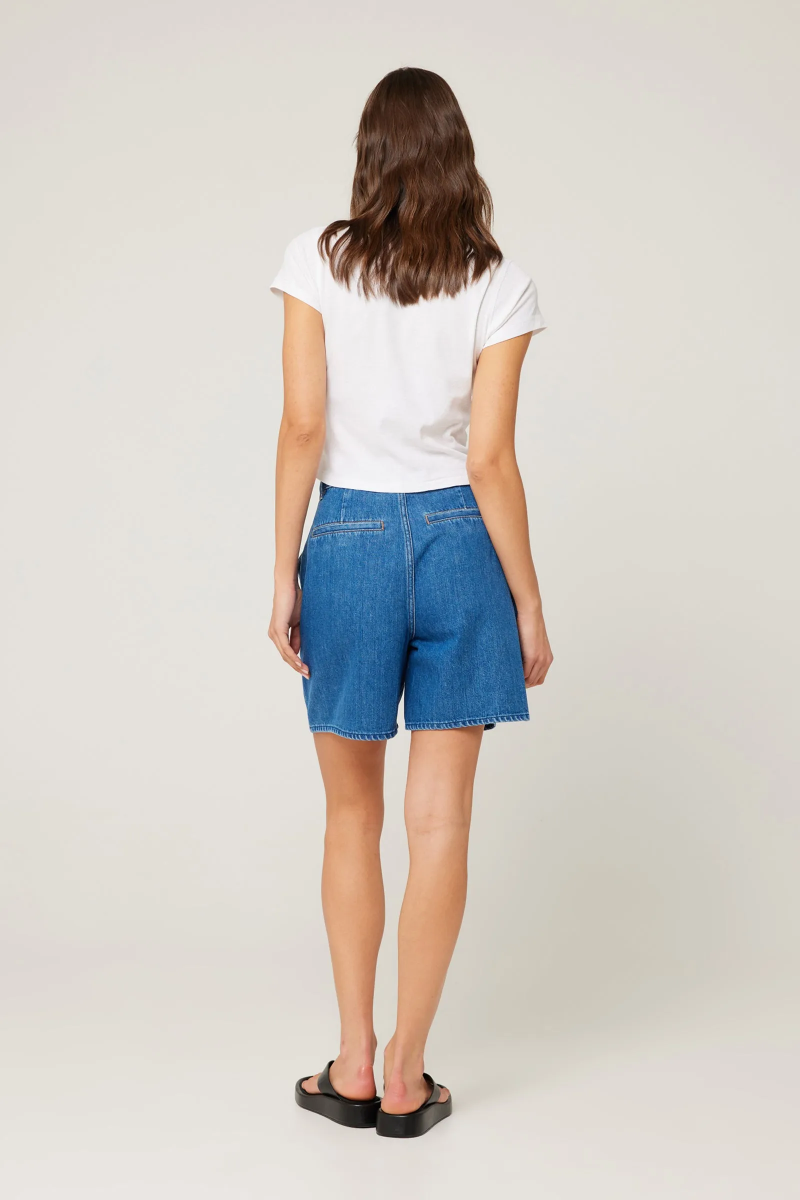 Rolla’s Horizon Shorts - Ashley Blue