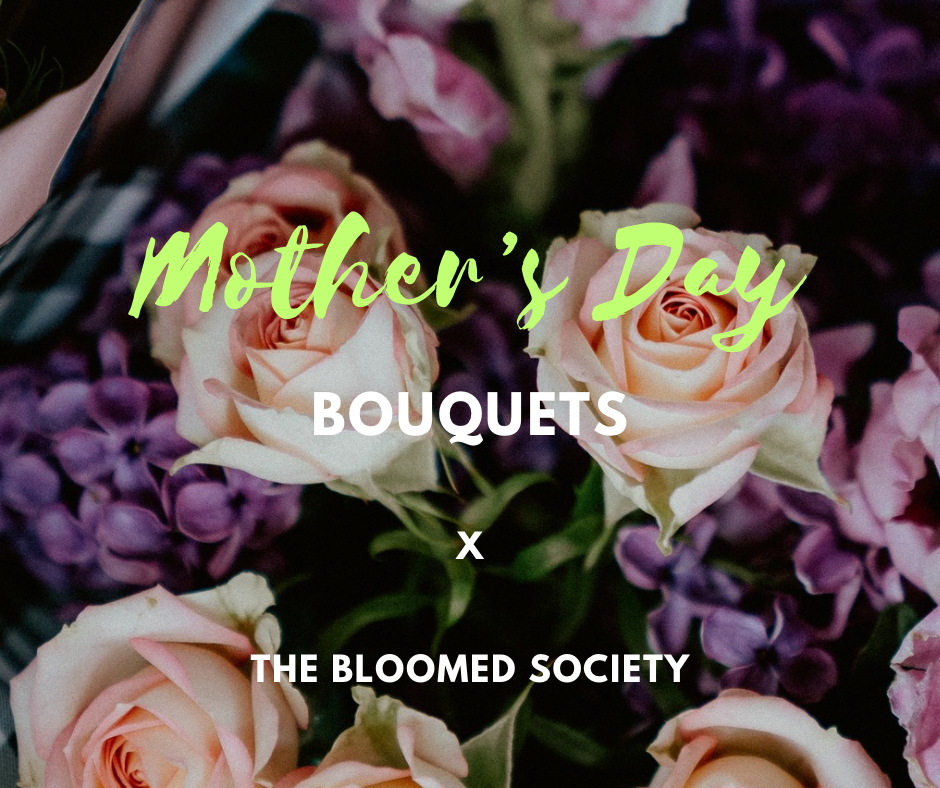 The Bloomed Society - MOTHER’S DAY 25 Extra Large