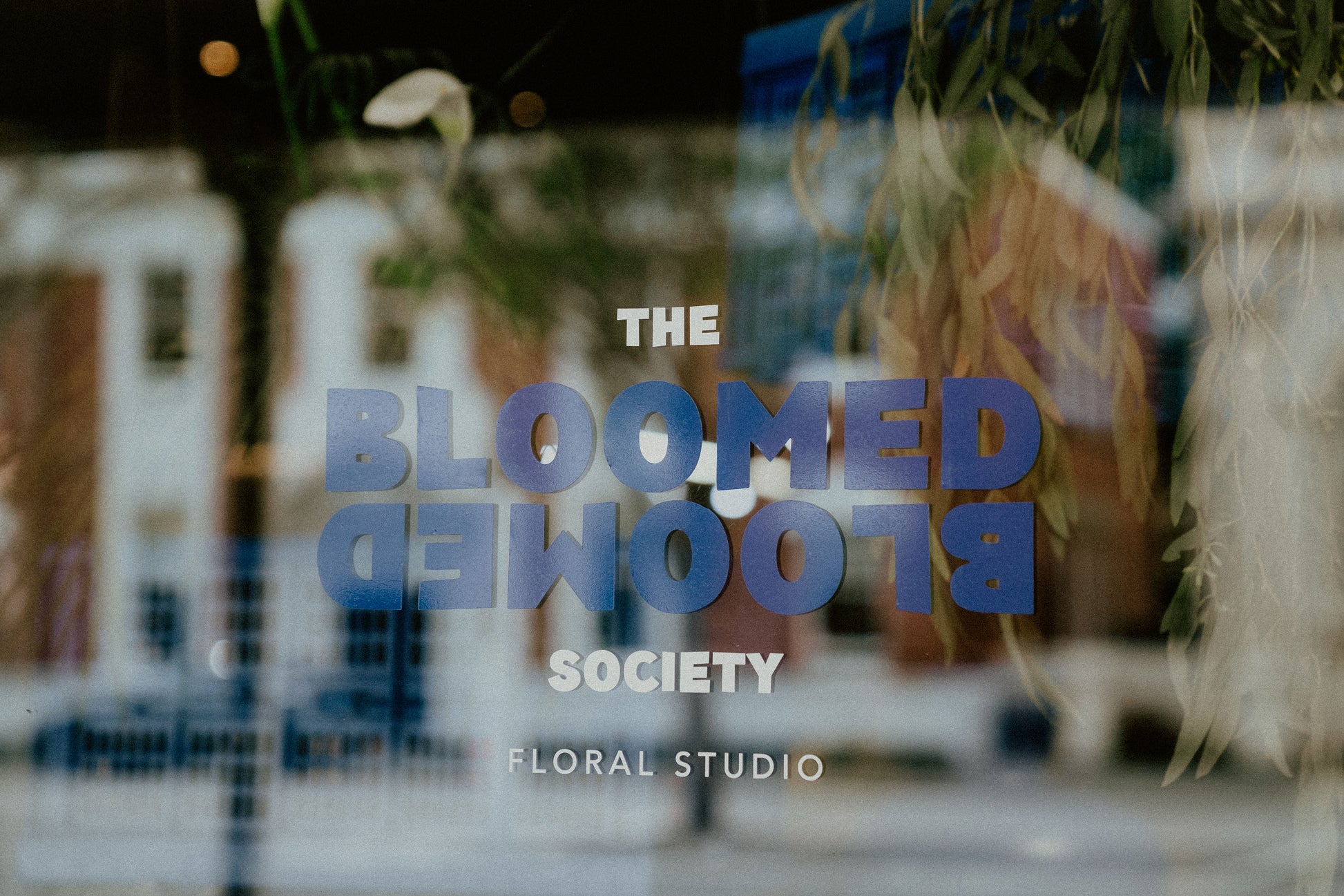 The bloomed society Oamaru florist flowers