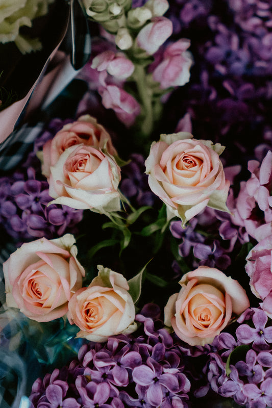 The bloomed society Oamaru florist flowers 