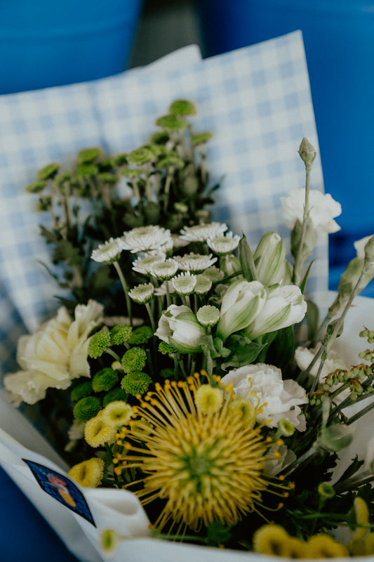 The bloomed society Oamaru flowers florist 