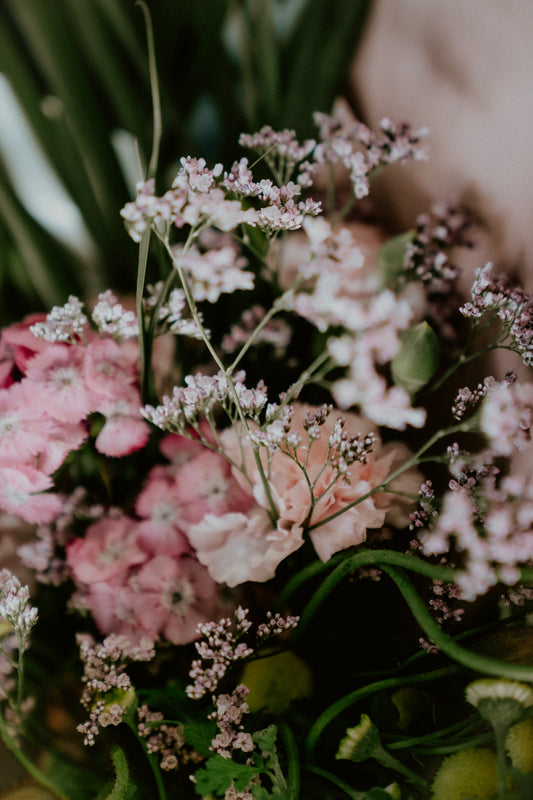 The bloomed society Oamaru florist flowers 